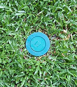 Instalación de cebos contra termitas